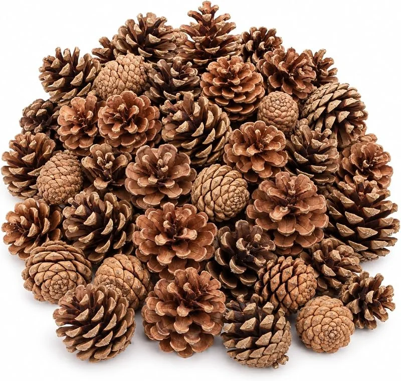 Besuche den NaDeco-Store NaDeco Tannenzapfen 1 kg, ca. 50-70 Stück, 5-6 cm, Pinus nigra — Weihnachtsdeko
