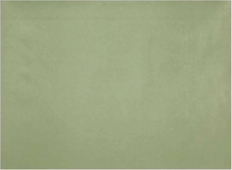 Marke: AVA Tischsets Papier 43x30cm 50 Stück - Einweg Platzsets DIN A3 - Vielseitige Einfarbige Platzdeckchen & Tischuntersetzer für Hochzeit, Geburtstag und Alltag (Eukalytpus) — Küche & Haushalt